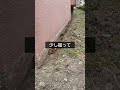 どうやって工事をするかは、現場次第、職人さんたちが、仕事しやすい環境を作る。そんな動画👌#shorts #建築 #建築現場 #塗装
