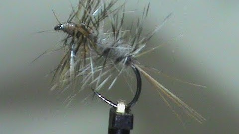 Beginner Fly Tying a Grizzly Bi Color with Jim Misiura