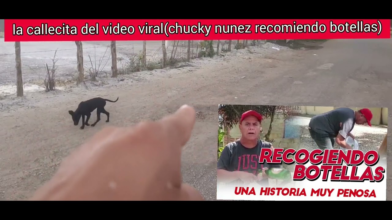 La calle del video viral(CHUCKY NUÑEZ RECOJIENDO Botellas)chekealo 