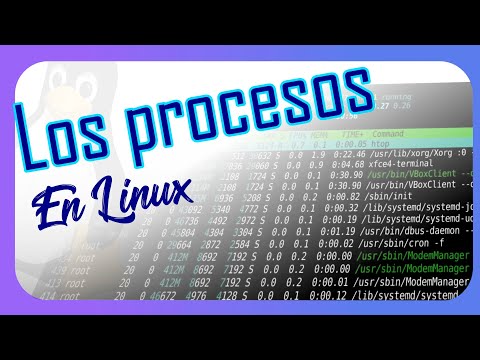 Video: ¿Cómo encuentro el número de puerto de PID en Unix?