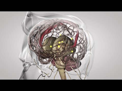 Vidéo: La Physiologie Du Mouvement