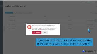 How to remove a domain in Plesk   BLUE ARCTIC