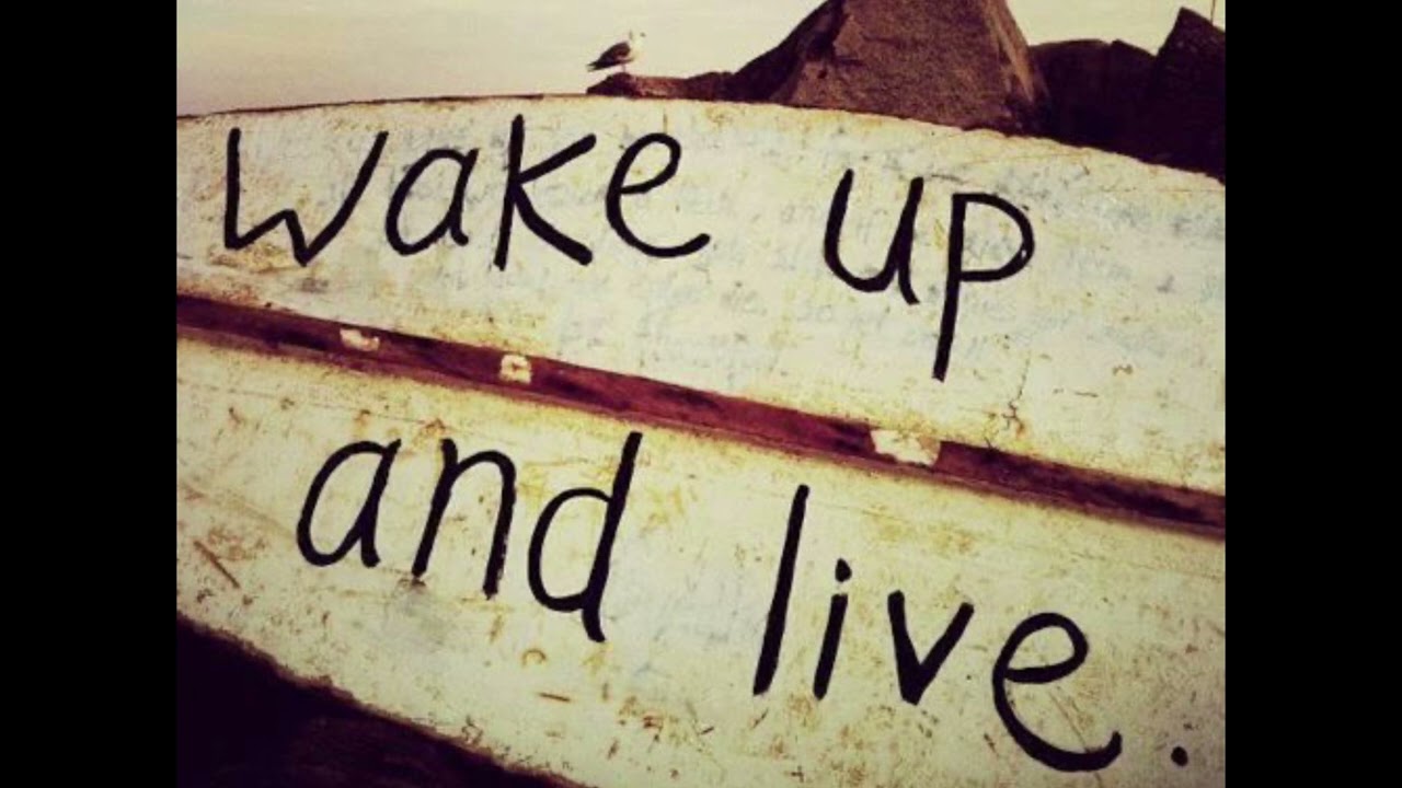 센치한 뇌 만들기