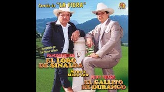 Video thumbnail of "El Lobo De Sinaloa - El Corrido De La Fiera"