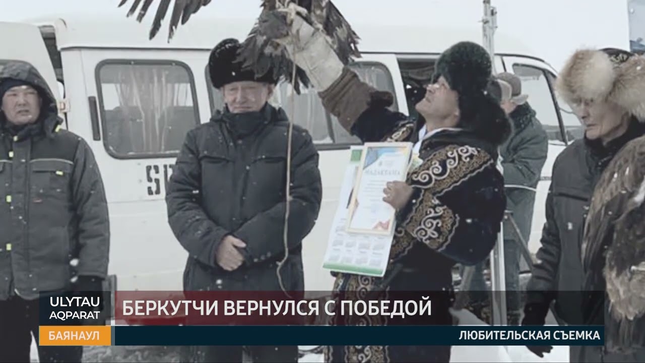 Беркутчи вернулся с победой