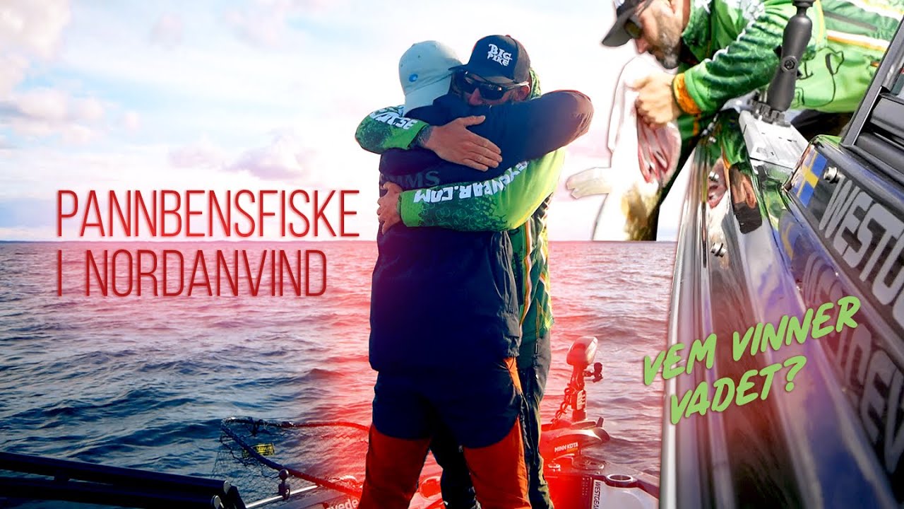 Pannbensfiske i Nordanvind