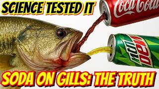 Pour Mountain Dew on a Bass???