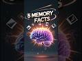 5 Surprising Facts About Memory You Didn’t Know #facts