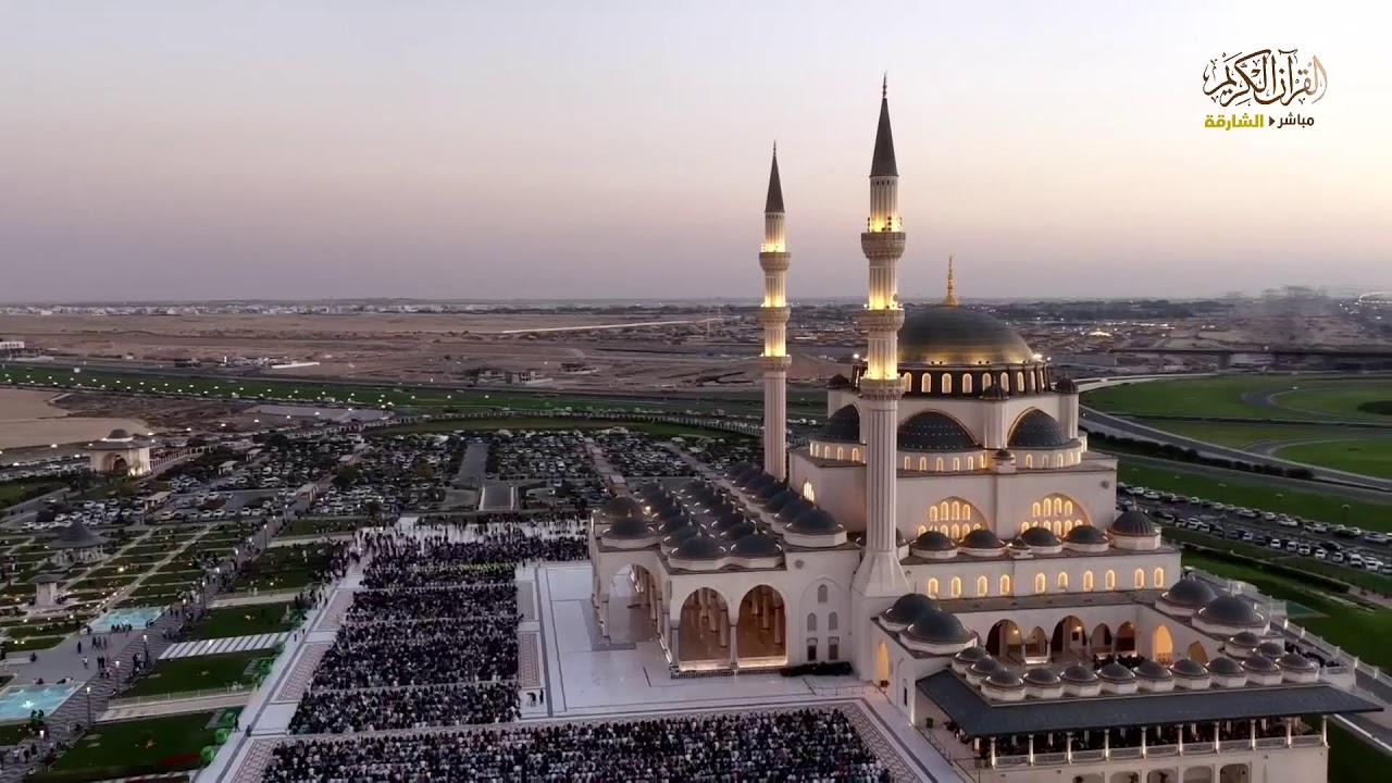 بث مباشر سفرة الافطار