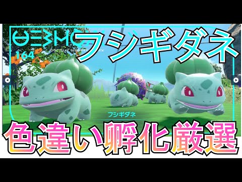 ポケモンキッズ フシギダネ 色違い ポケモンSV】色違いフシギダネ【色違い孵化厳選(自動化)作業用】 - YouTube