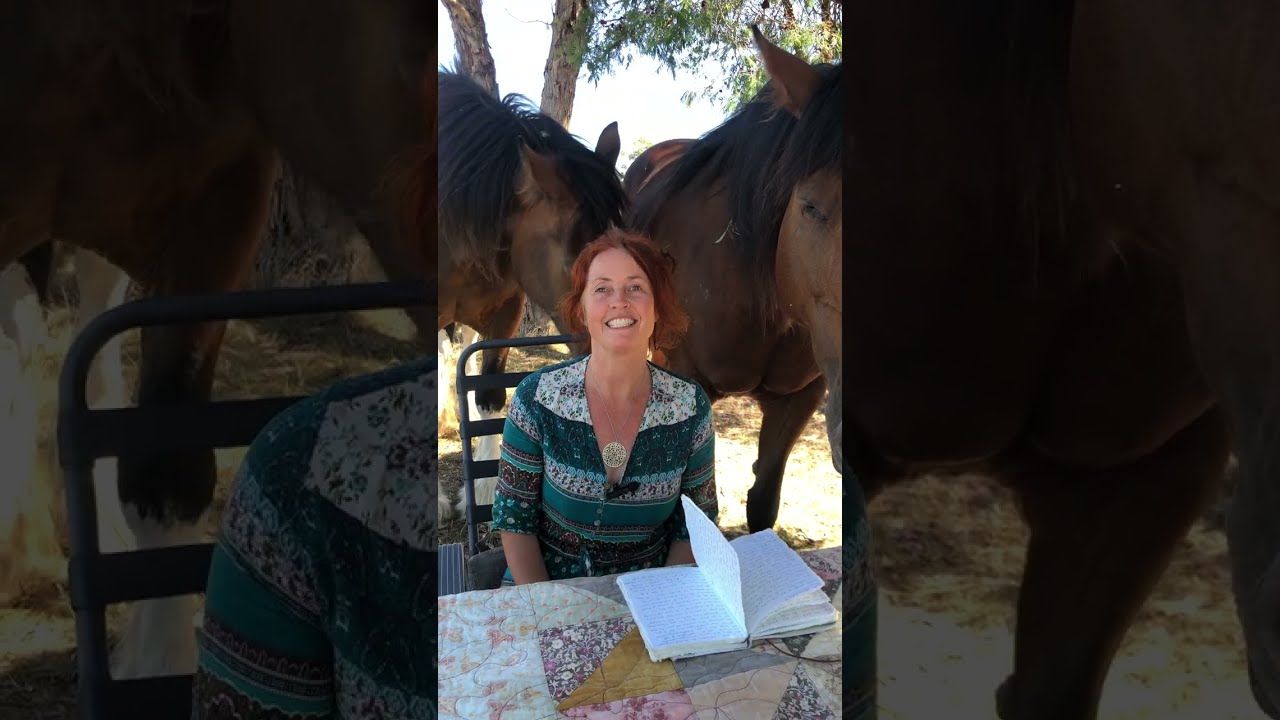 A video of Rachael from Heart of the Horse sharing the first channelled transmission she received from her horse Tavi