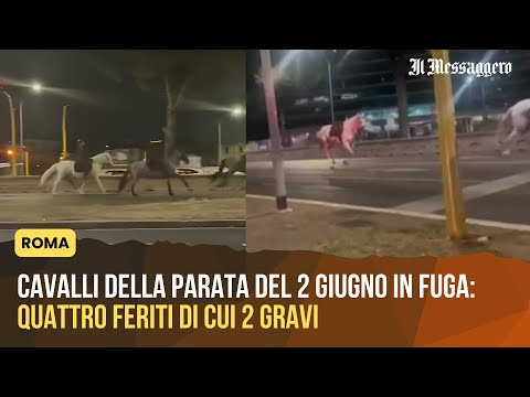 Video Cavalli della parata del 2 giugno in fuga a Roma: quattro feriti di cui 2 gravi