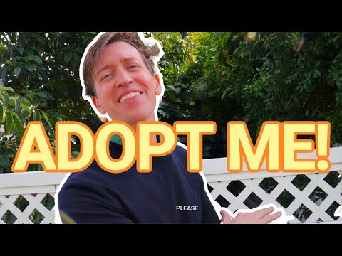 Adopt Me!