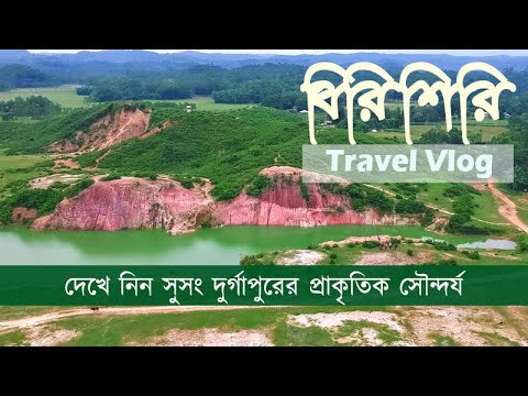 ভিডিও: স্ট্যান্ডে সৌন্দর্য