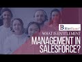 What is Entitlement Management in Salesforce?