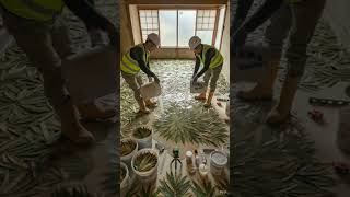 बांस फ्लोर ट्रांसफॉर्मेशन#FloorTransformation #LuxuryInterior #EpoxyDesign