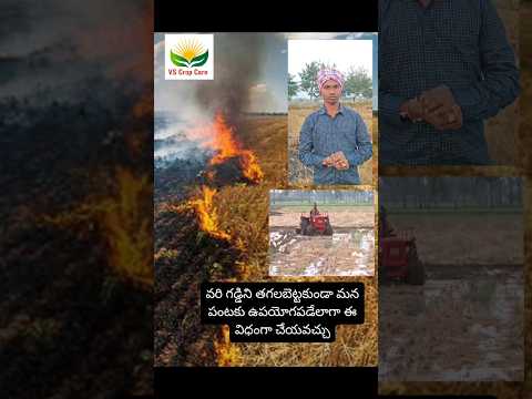 #వరిగడ్డిని #తగలబెట్టకుండా మన #పంటకు ఉపయోగపడేలాగా ఈ విధంగా చేయవచ్చు!!