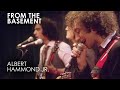 Holiday/Hard To Live In The City | Albert Hammond Jr. | From The Basement