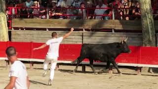Marsillargues 2026 - Le taureau 927 de la manade Rouquette
