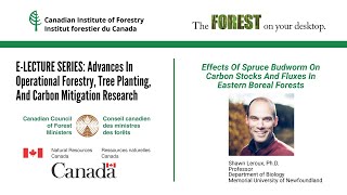 E LECTURE: Effects Of Spruce Budworm On Carbon Stocks And Fluxes In Eastern Boreal Forests