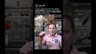 Dzhanibekov Effect In Space