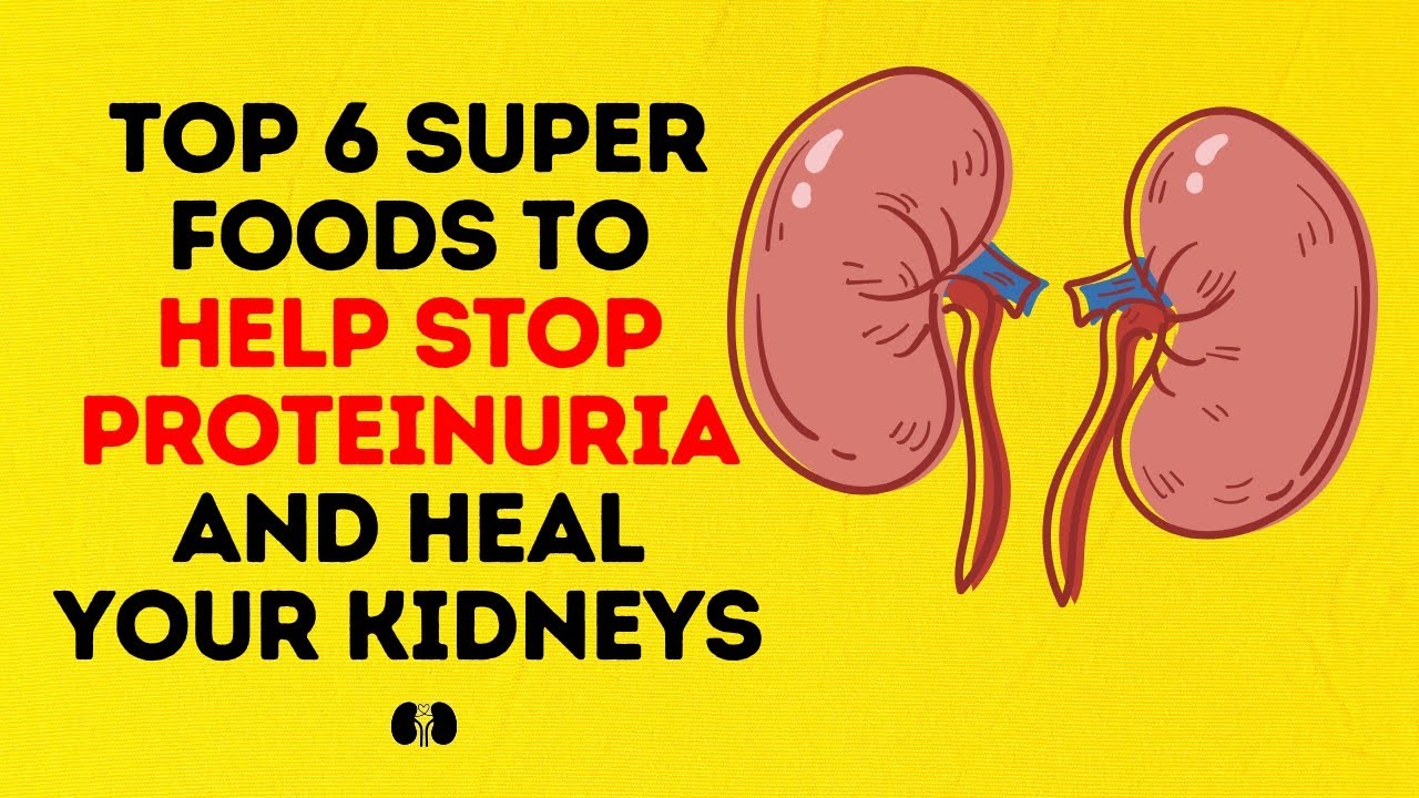 Top 6 Super Foods To Help Stop Proteinuria and Heal Your Kidneys - YouTube