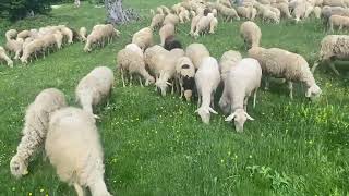 Rruges Per Te Stanet E Gremes 2 Qershor 2022