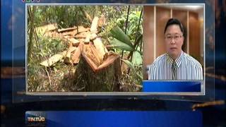 ThoiSuVTV1 11h 20160723 1100 1QNA