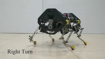 Gait Library Synthesis for Quadruped Robots via Augmented Random Search