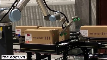 TPA cung cấp giải pháp về robot cộng tác ứng dụng trong đóng gói & Xếp Pallet