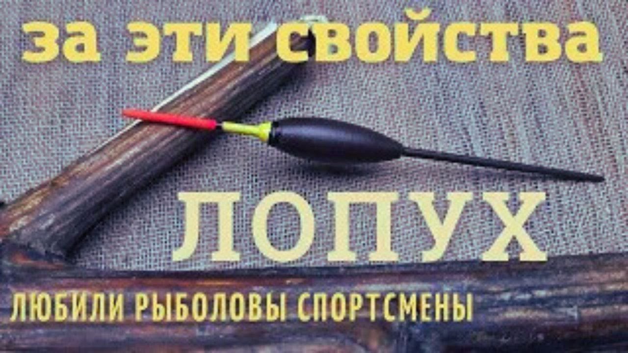 За эти свойства ЛОПУХ любили рыболовы спортсмены