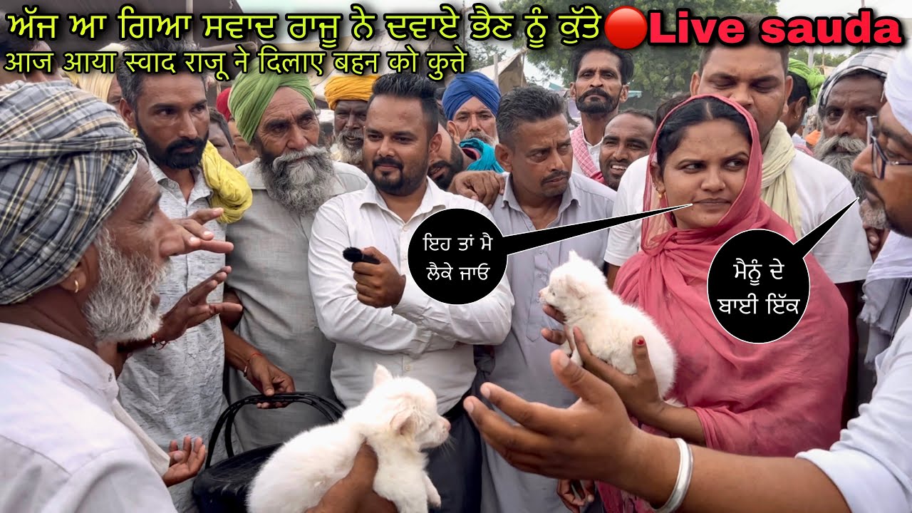 ਅੱਜ ਆ ਗਿਆ ਸਵਾਦ ਰਾਜੂ ਨੇ ਦਵਾਏ ਭੈਣ ਨੂੰ ਕੁੱਤੇ #live_sauda tungwali bakri bazar dogs @Farmingbabapunjab