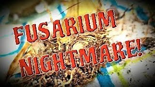 💀☠HORRIFIC ORCHID DISSECTION! ☠💀FINDING FUSARIUM IN MY ORCHID!