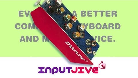 InputJive Computing Input Device Demonstration - Evolution 2