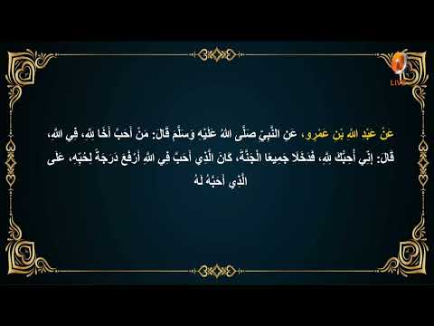 Al Adab Al Mufrad Episode 186 General Behavior Oct 22nd 2025 DrMuhammadSalah Hudatv