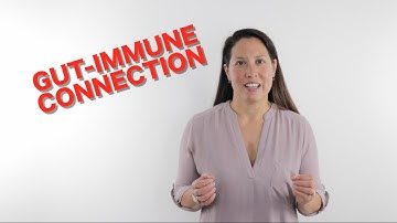 Gut-Immune Connection