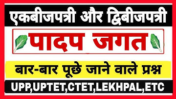 एकबीजपत्री और द्विबीजपत्री में अंतर|| बीज पत्र||Monocot and Dicot in Hindi|| आवृतबीजी#biology