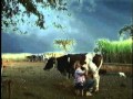 un femme croit que son mari couche avec un vache