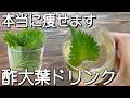 酢大葉ドリンク！５分煮るだけ！１日１杯飲んで健康的に痩せる！簡単に作れます！青紫蘇ジュース