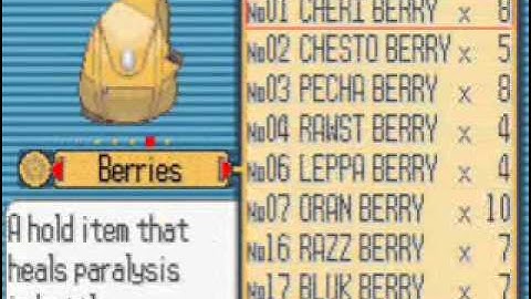 Pokemon Ruby Walkthrough Part 29: Petalburg Gym Leader Norman