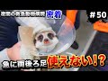 救え！動物たちの命　救急動物病院に密着！#49