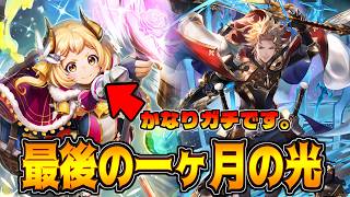 【改良版】リララ採用した途端勝率激変!?最後の進化ロイヤル【シャドバWB】