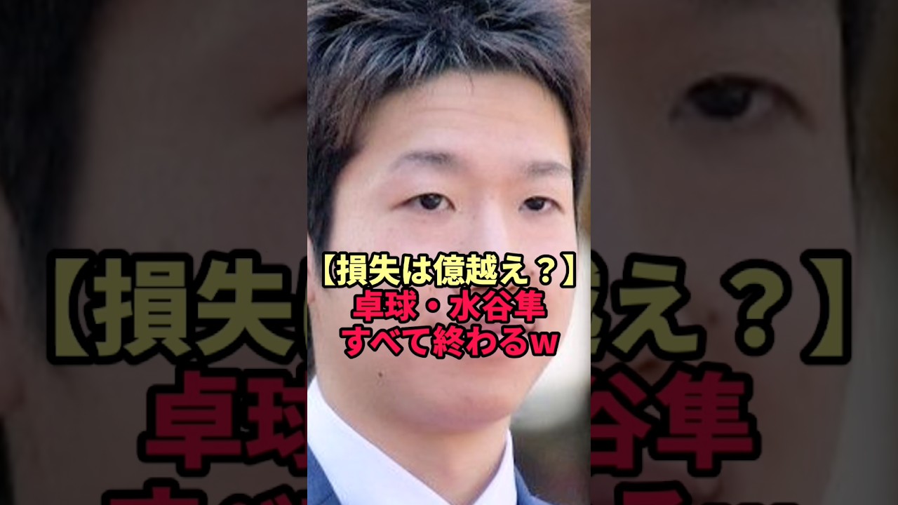 卓球・水谷隼「しばらく冬眠します」からの続報…今年溶かした総額がヤバすぎた!