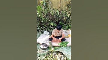 Phần 1 | 10 ngày , 10 đêm sinh sống ở một con suối trong rừng sâu , bắt lươn , bắt cá , bắt ốc...