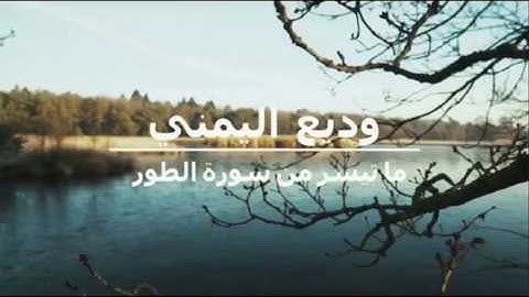 ( إِنَّ الْمُتَّقِينَ فِي جَنَّاتٍ وَنَعِيمٍ ) تلاوة لا توصف من سورة الطور للقارئ وديع اليمني