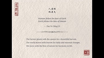 Tao Insights by author Derek Lin  - Tao Te Ching 25