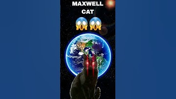 Maxwell cat in swimming pool on google maps and google earth #shorts #MrMap2.0 #earth