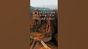 سورة هود الآية ( 12)