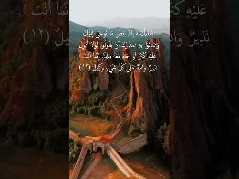 سورة هود الآية 12