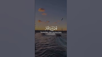 اذكر اللّٰه...#سورة_الحجر #هزاع_البلوشي